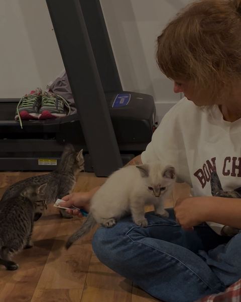 Stéphanie sits on the floor with a white kitten on her knee while two tabby kittens crowd in for a treat.